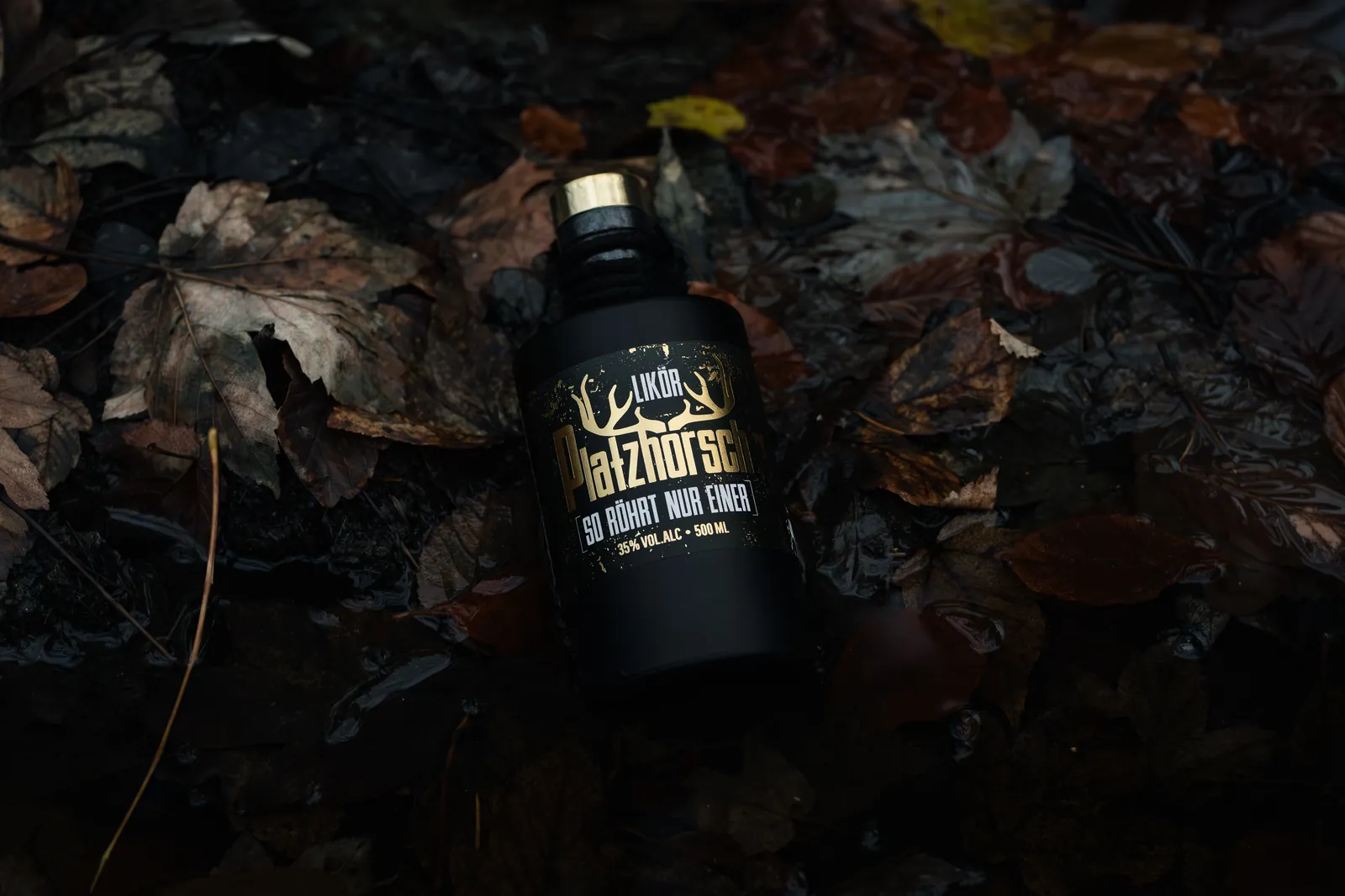 Produktfoto für Platzhörsch: Flasche im herbstlichen Waldboden